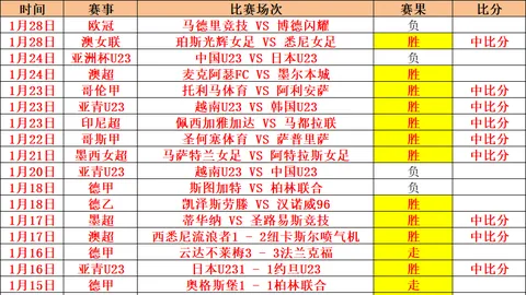 探寻秘境佳肴：哈帕拉奥伊罗邀你共品红烧马肉盛宴！